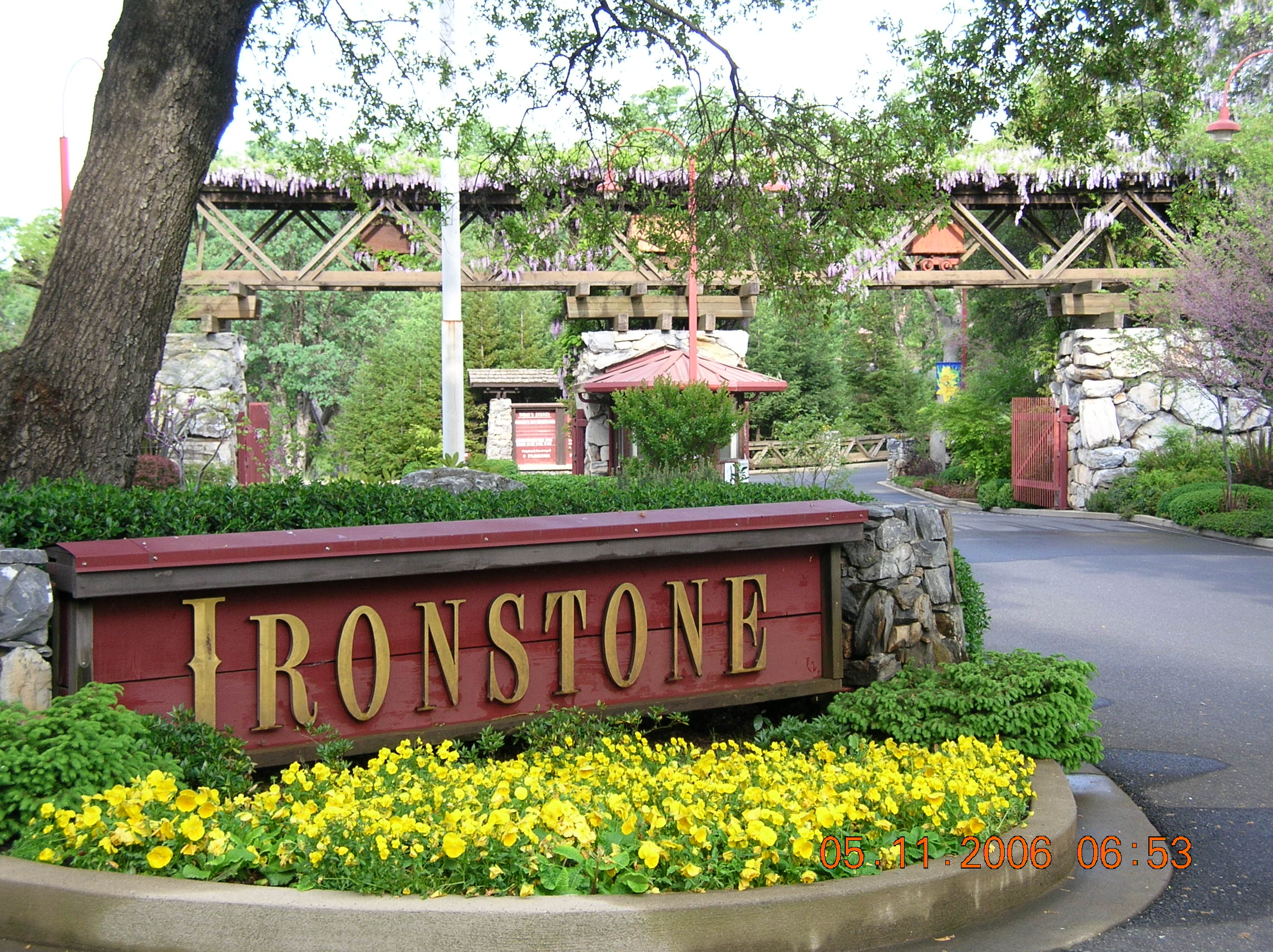 Ironstone Vineyards Flowers 05 07 2006 Murphys CA daffodils geese